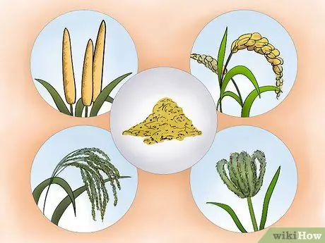 Выращивать просо Шаг 11