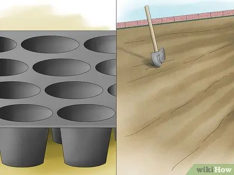 Выращивать пшено, шаг 2