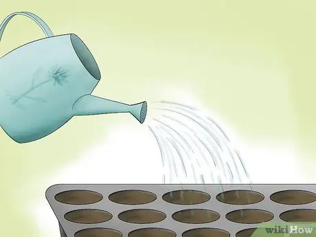 Выращивать просо Шаг 6