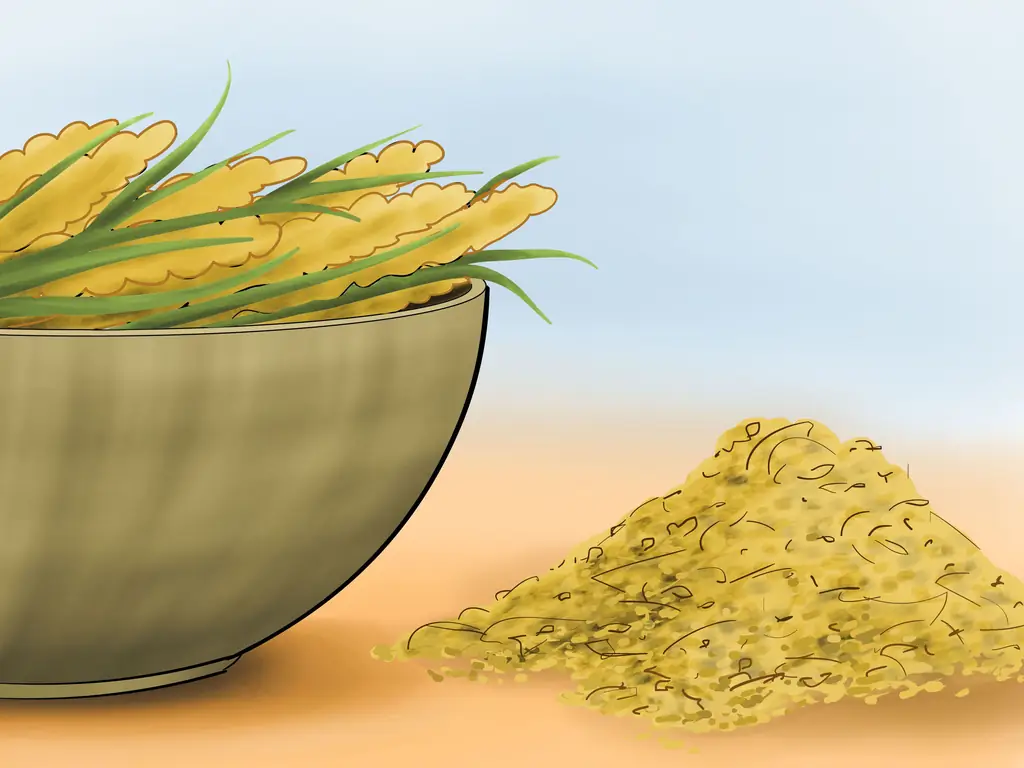 Как вырастить просо (с иллюстрациями)