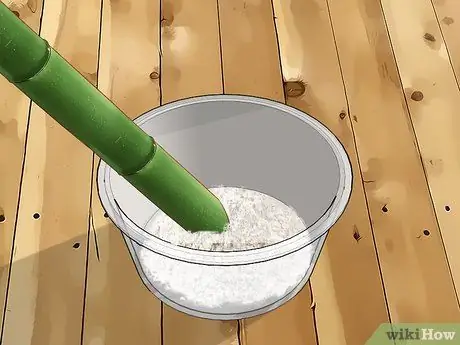 Размножение бамбука, шаг 3