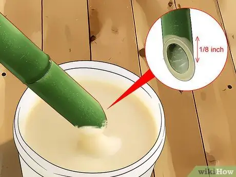 Размножение бамбука Шаг 4