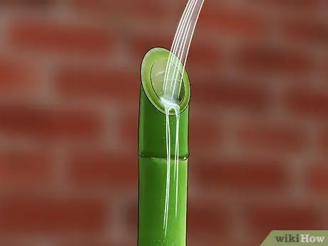 Размножение бамбука Шаг 7