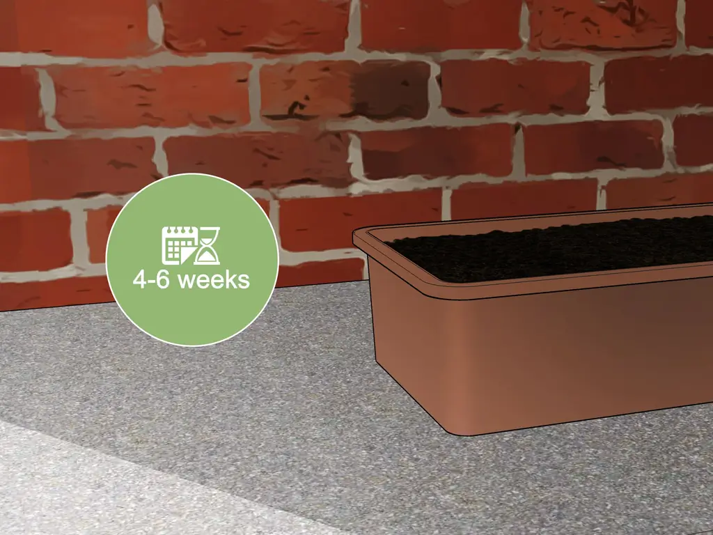 3 способа размножения бамбука