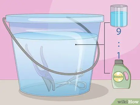 Размножение уха слона, шаг 2