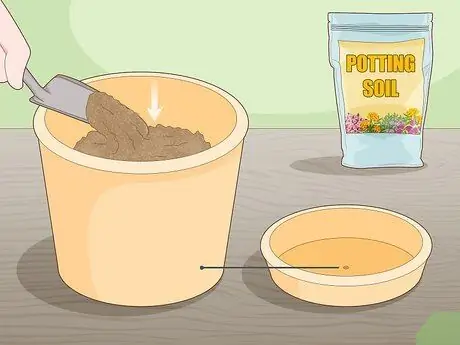 Слой дерева шаг 12