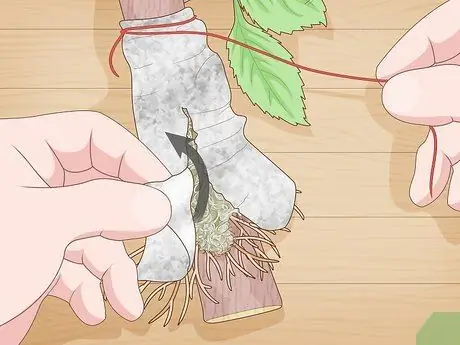 Слой дерева шаг 14