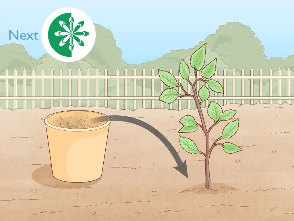 Простые способы воздушной подстилки дерева (с изображениями)