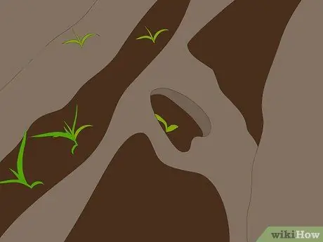 Плуг с двухрядным культиватором Шаг 14