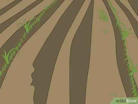 Плуг с двухрядным культиватором Шаг 9
