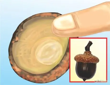 Свисток в колпачке из желудей Step 1
