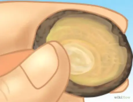 Свист, используя колпачок из желудей Step 2
