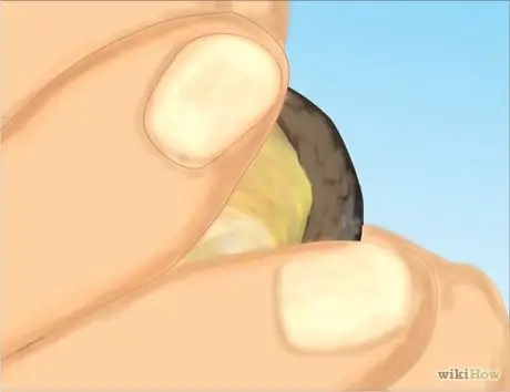 Свист, используя колпачок из желудей Step 3