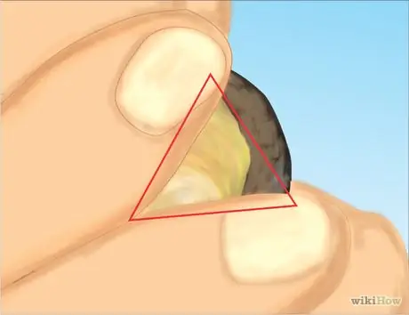 Свист, используя колпачок из желудей Step 4
