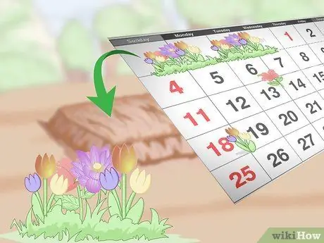Подготовка почвы для клубники Шаг 7