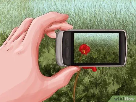 Стать фотографом-натуралистом Шаг 13 Стать фотографом-натуралистом Шаг 13