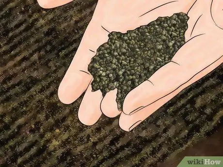 Удобрение цветов, шаг 2