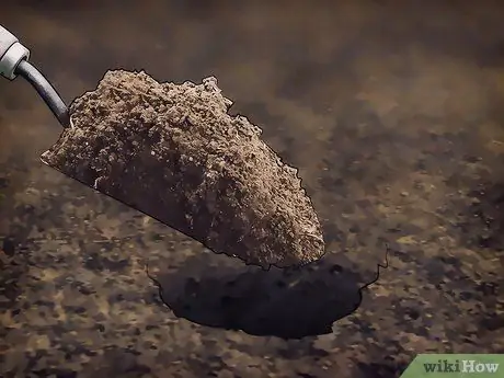 Сажать луковицы в траве Шаг 11