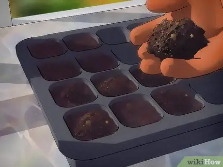 Выращивание растений из семян Шаг 4