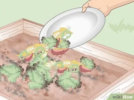 Уменьшите углеродный след дома Шаг 8