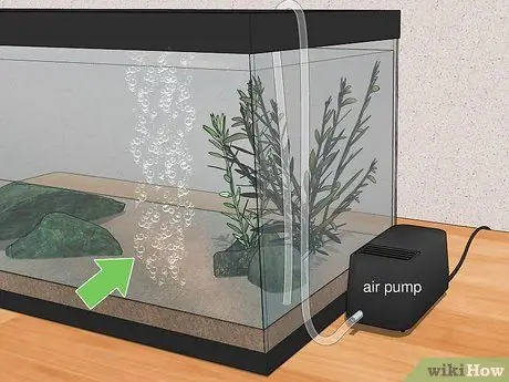 Дехлорирование воды, шаг 3 Дехлорирование воды, шаг 3