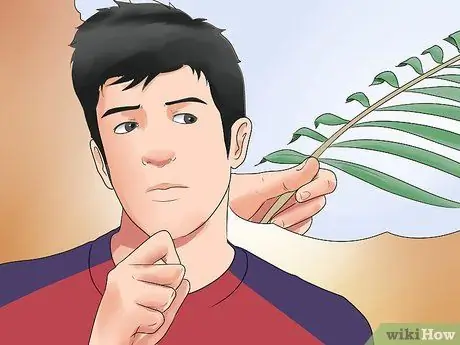 Определите, когда наступит Пасха Шаг 5