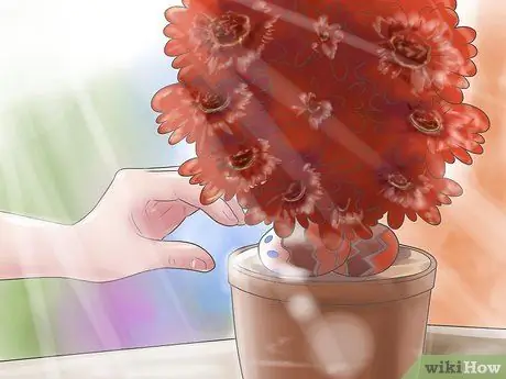 Охота за пасхальными яйцами в помещении Шаг 11