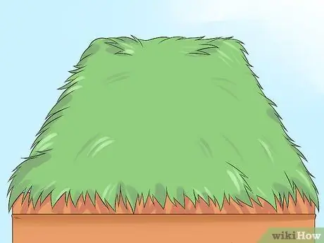 Отпразднуйте Суккот Шаг 8