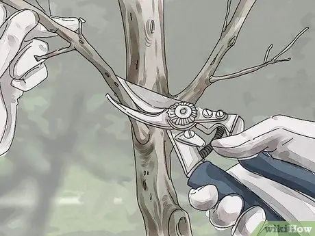 Подготовьте свой дом к осени Шаг 11