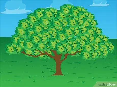 Отметьте День Вайтанги, шаг 6