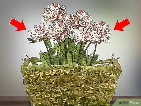Декорировать двери Шаг 16