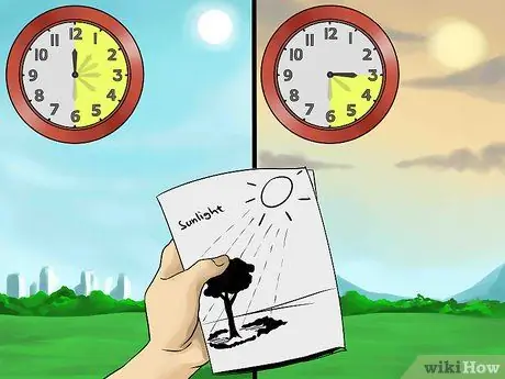 Создание клумбы под деревьями Шаг 5