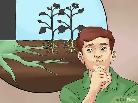 Создание клумбы под деревьями Шаг 4