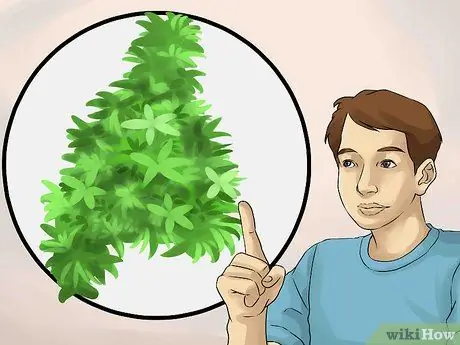 Создание клумбы под деревьями Шаг 8