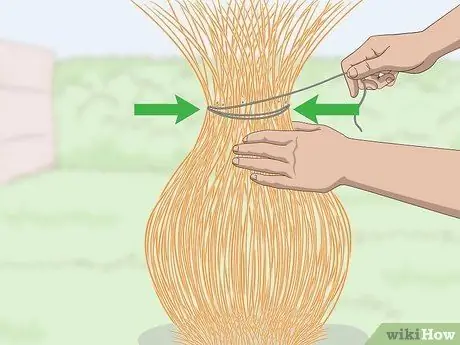 Чернослив декоративных трав Шаг 2