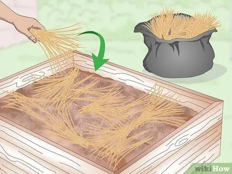 Чернослив декоративных трав Шаг 5