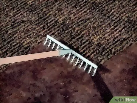 Посадить осенний огород Шаг 7