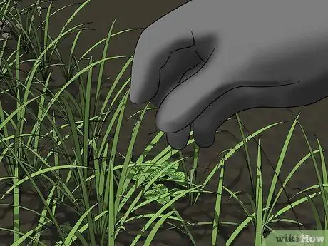 Очистить землю вручную, шаг 10