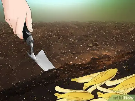 Добавьте калий в органический сад Шаг 7