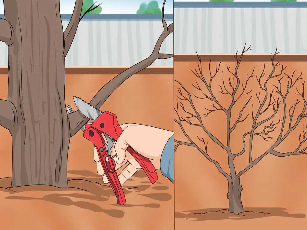 Как обрезать розу Шарон: 9 шагов (с иллюстрациями)