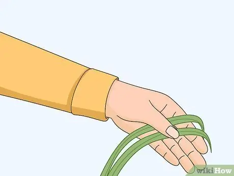 Определить Sweetgrass Шаг 5