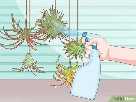 Водно-воздушные растения Шаг 7