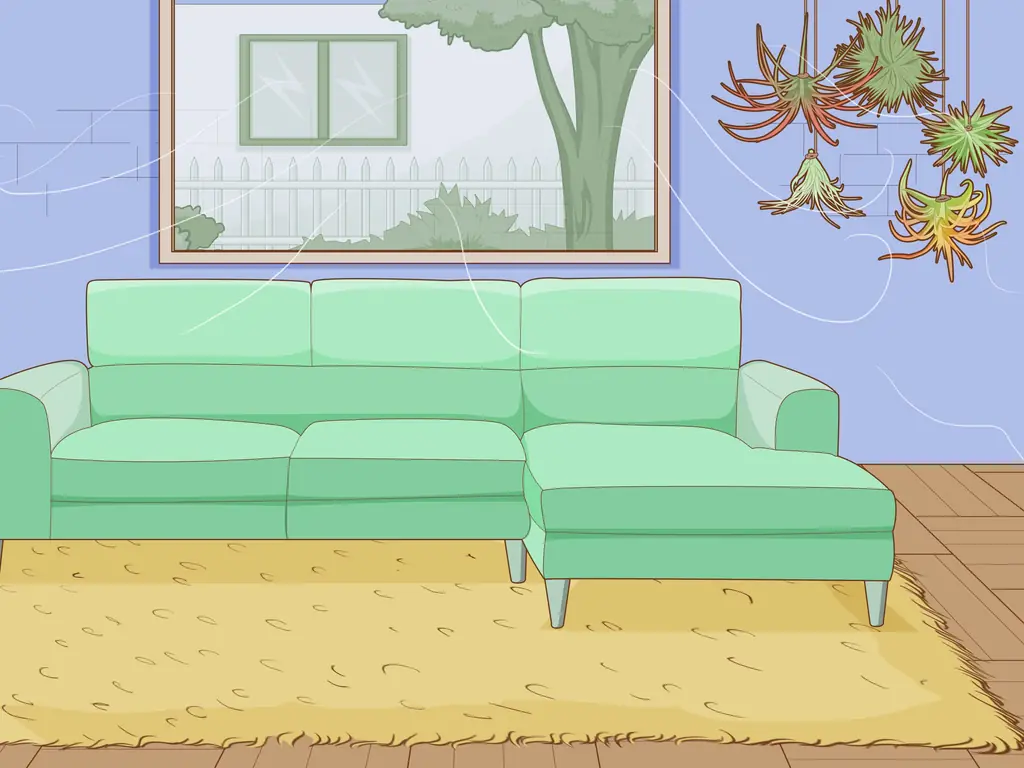 Как поливать воздушные растения: 10 шагов (с иллюстрациями)