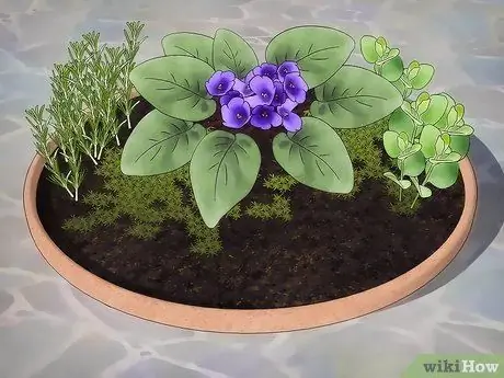 Создайте свой собственный мини-сад Шаг 7