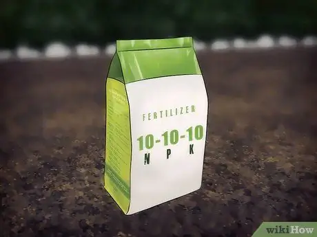 Сажать луковицы в траве Шаг 12
