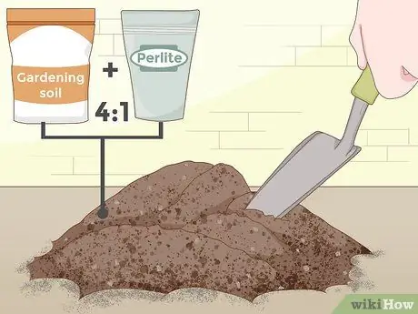 Посадите суккуленты в помещении Шаг 3