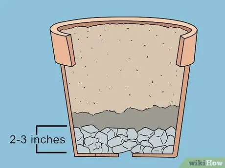 Поддержка растений помидоров в горшках Шаг 2