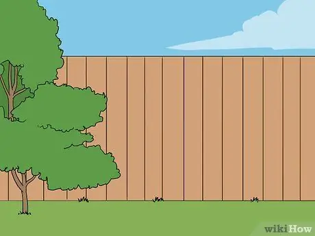 Поддержка растений помидоров в горшках Шаг 3