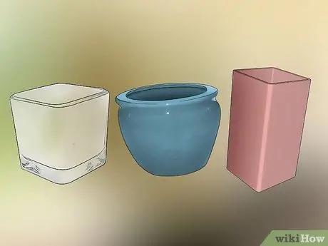 Уход за комнатным бамбуком Шаг 1