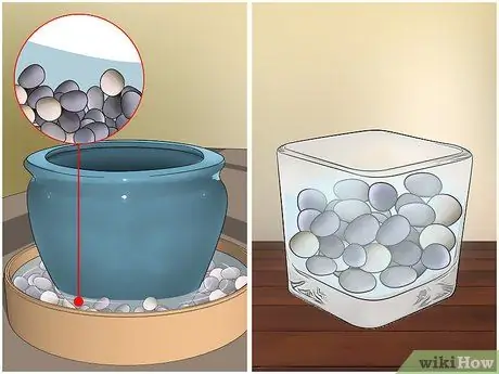 Уход за комнатным бамбуковым растением Шаг 2